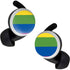 The Rainbow Flag Google Pixel Buds Skin